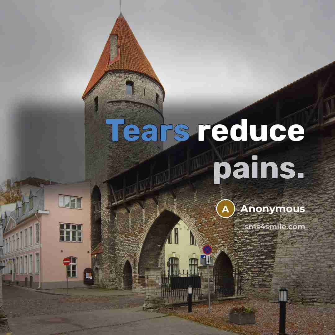 “Tears reduce pains.” quote by Anonymous