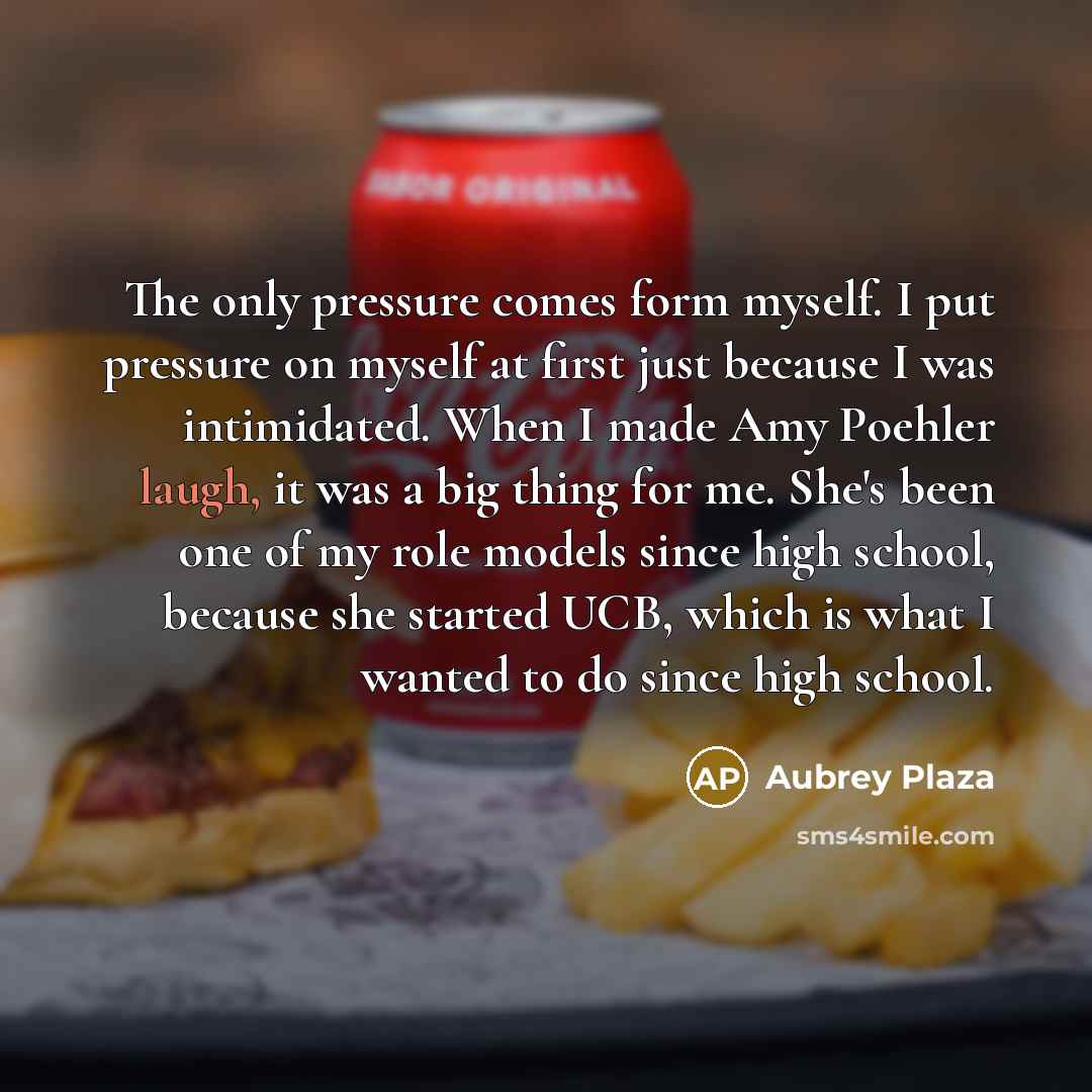 “The only pressure comes form myself. I put pressure on myself at first just because I was intimidated. When I made Amy Poehler laugh, it was a big thing for me. She's been one of my role models since high school, because she started UCB, which is what I wanted to do since high school.” quote by Aubrey Plaza