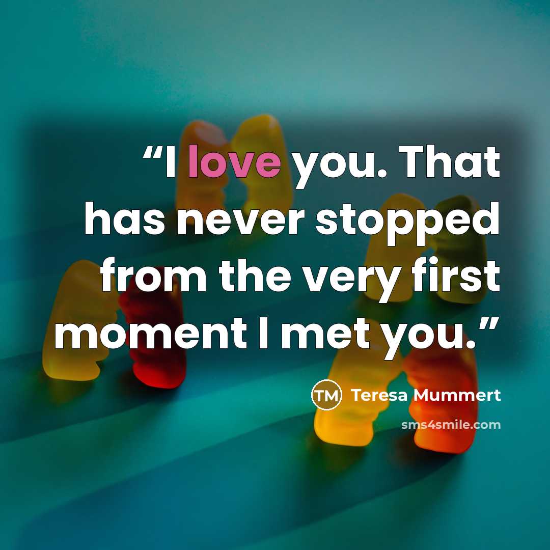 “I love you. That has never stopped from the very first moment I met you.” quote by Teresa Mummert