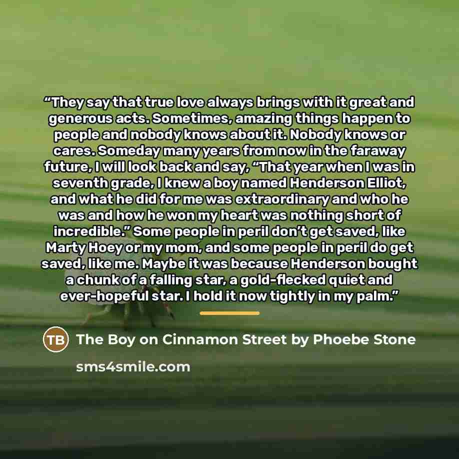 “They say that true love always brings with it great and generous acts. Sometimes, amazing things happen to people and nobody knows about it. Nobody knows or cares. Someday many years from now in the faraway future, I will look back and say, “That year when I was in seventh grade, I knew a boy…” quote by The Boy on Cinnamon Street by Phoebe Stone