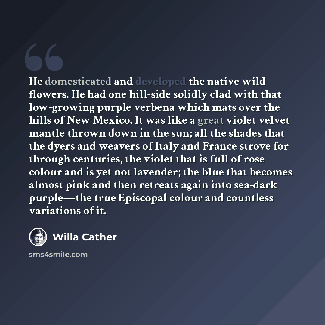 “He domesticated and developed the native wild flowers. He had one hill-side solidly clad with that low-growing purple verbena which mats over the hills of New Mexico. It was like a great violet velvet mantle thrown down in the sun; all the shades that the dyers and weavers of Italy and France…” quote by Willa Cather