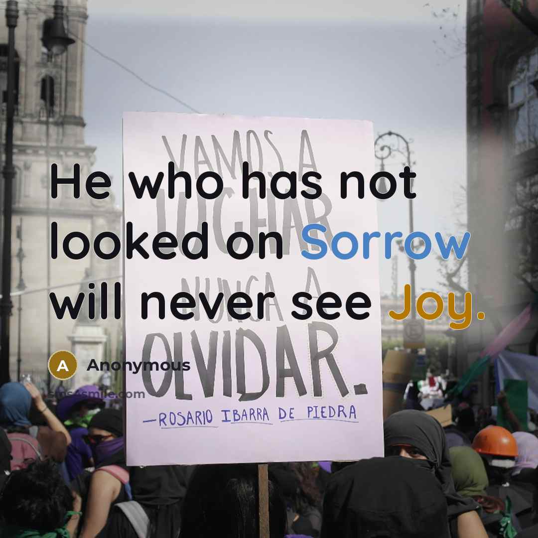 “He who has not looked on Sorrow will never see Joy.” quote by Anonymous