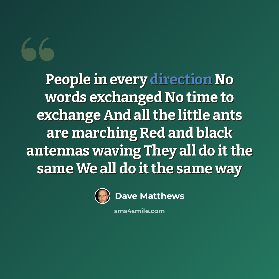 “People in every direction No words exchanged No time to exchange And all the little ants are marching Red and black antennas waving They all do it the same We all do it the same way” quote by Dave Matthews