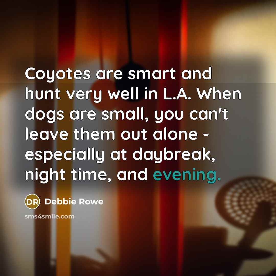 “Coyotes are smart and hunt very well in L.A. When dogs are small, you can't leave them out alone - especially at daybreak, night time, and evening.” quote by Debbie Rowe