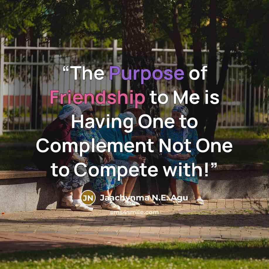 “The Purpose of Friendship to Me is Having One to Complement Not One to Compete with!” quote by Jaachynma N.E. Agu