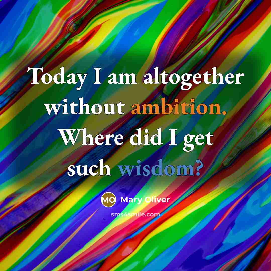 “Today I am altogether without ambition. Where did I get such wisdom?” quote by Mary Oliver