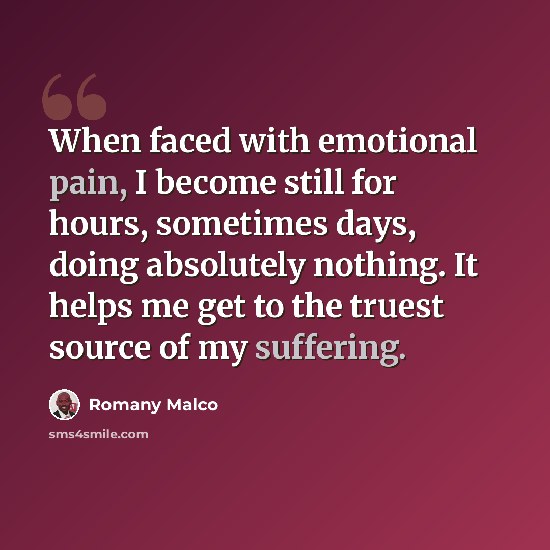 “When faced with emotional pain, I become still for hours, sometimes days, doing absolutely nothing. It helps me get to the truest source of my suffering.” quote by Romany Malco