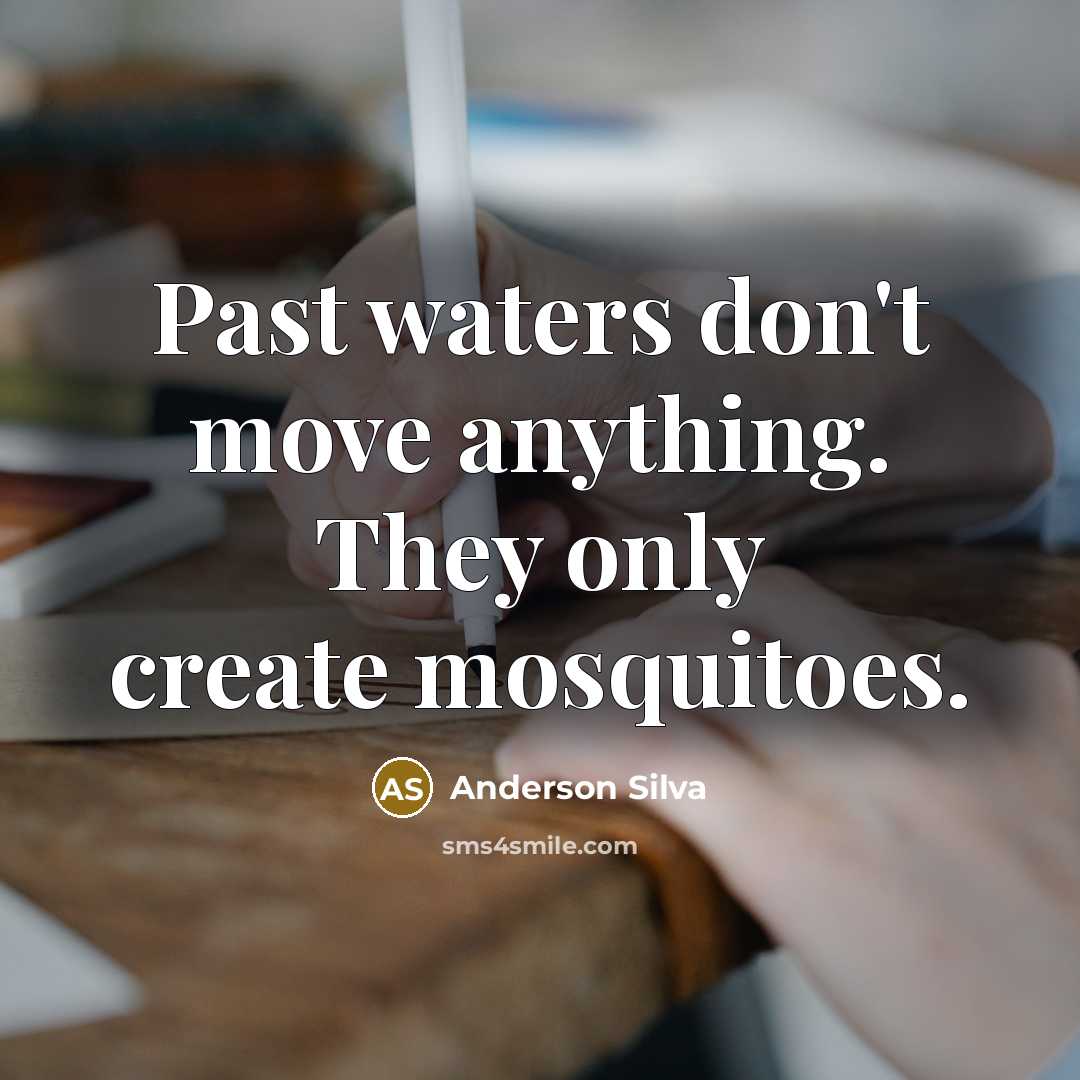 “Past waters don't move anything. They only create mosquitoes.” quote by Anderson Silva
