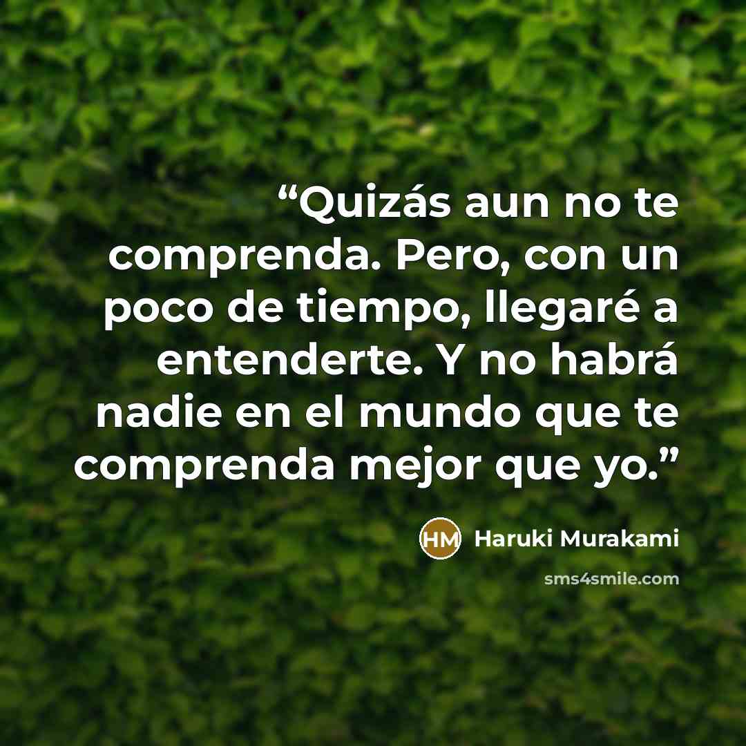 “Quizás aun no te comprenda. Pero, con un poco de tiempo, llegaré a entenderte. Y no habrá nadie en el mundo que te comprenda mejor que yo.” quote by Haruki Murakami