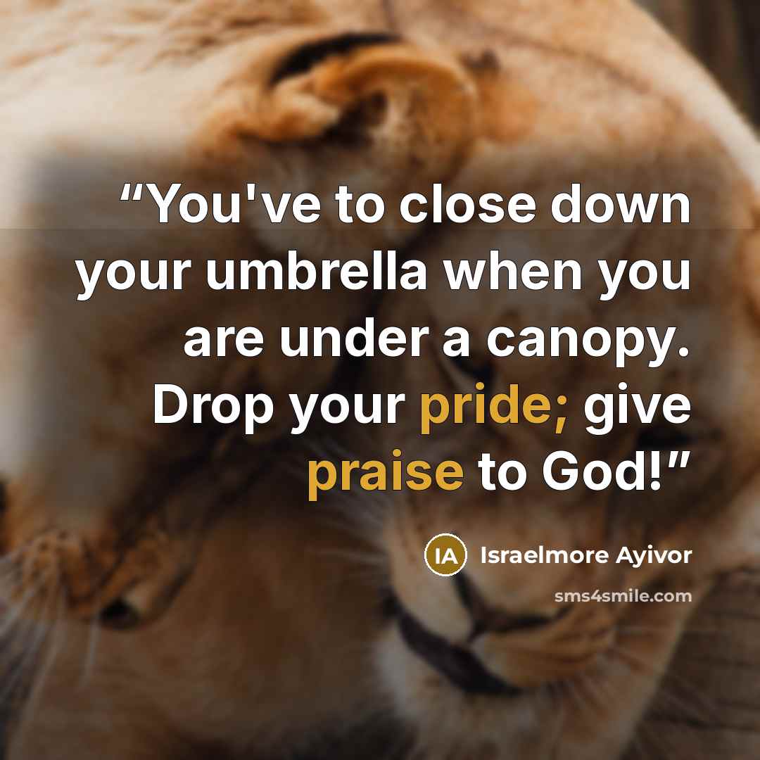 “You've to close down your umbrella when you are under a canopy. Drop your pride; give praise to God!” quote by Israelmore Ayivor