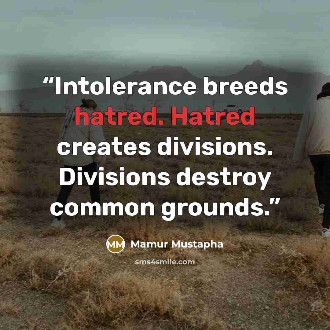 “Intolerance breeds hatred. Hatred creates divisions. Divisions destroy common grounds.” quote by Mamur Mustapha