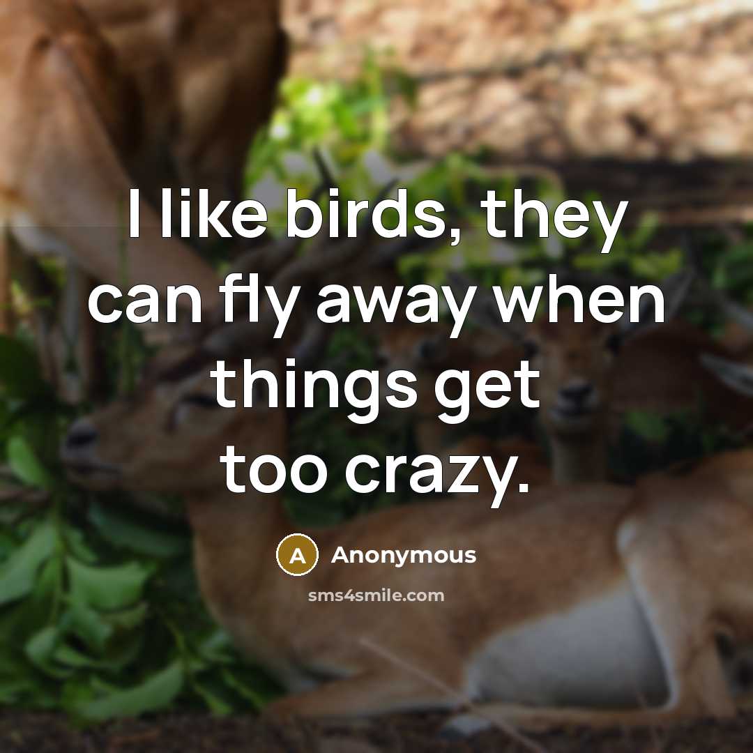 “I like birds, they can fly away when things get too crazy.” quote by Anonymous