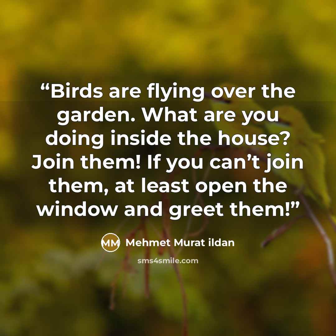 “Birds are flying over the garden. What are you doing inside the house? Join them! If you can’t join them, at least open the window and greet them!” quote by Mehmet Murat ildan
