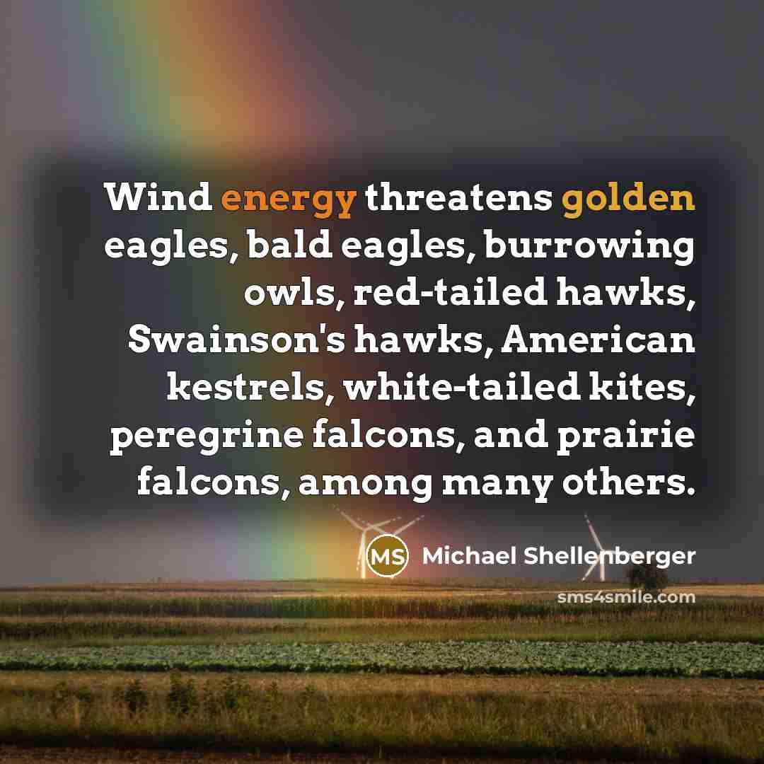 “Wind energy threatens golden eagles, bald eagles, burrowing owls, red-tailed hawks, Swainson's hawks, American kestrels, white-tailed kites, peregrine falcons, and prairie falcons, among many others.” quote by Michael Shellenberger