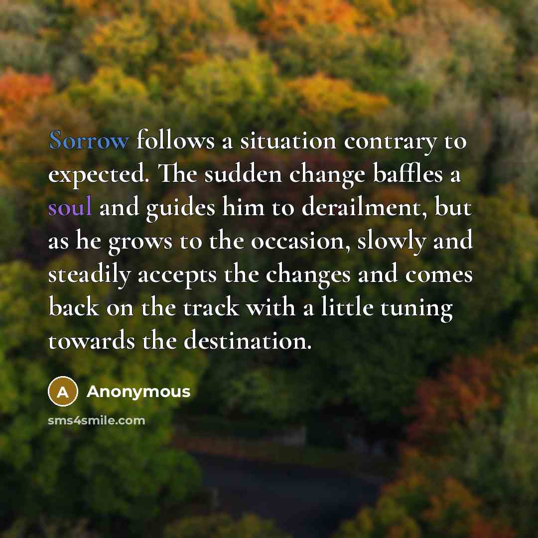 “Sorrow follows a situation contrary to expected. The sudden change baffles a soul and guides him to derailment, but as he grows to the occasion, slowly and steadily accepts the changes and comes back on the track with a little tuning towards the destination.” quote by Anonymous