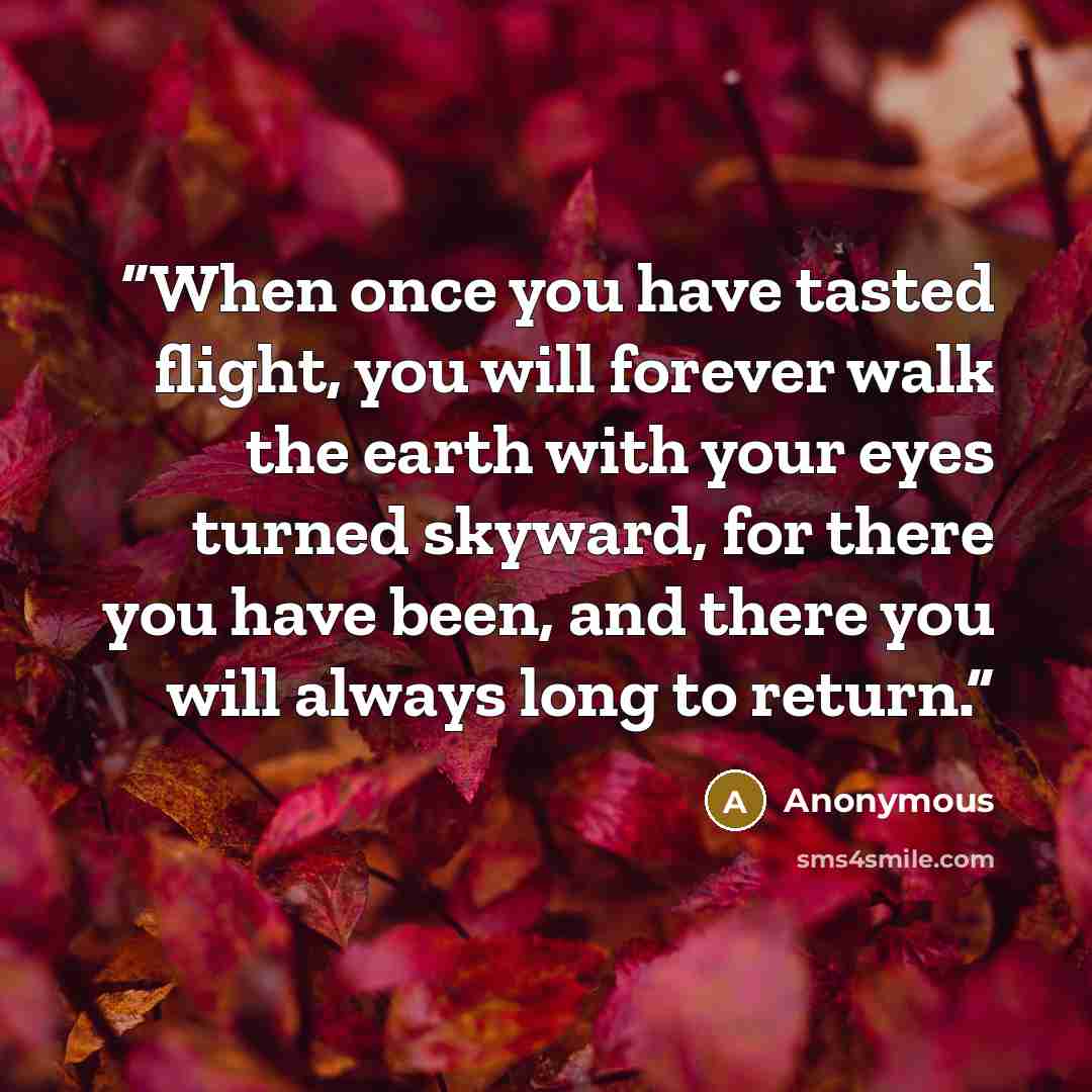 “When once you have tasted flight, you will forever walk the earth with your eyes turned skyward, for there you have been, and there you will always long to return.” quote by Anonymous