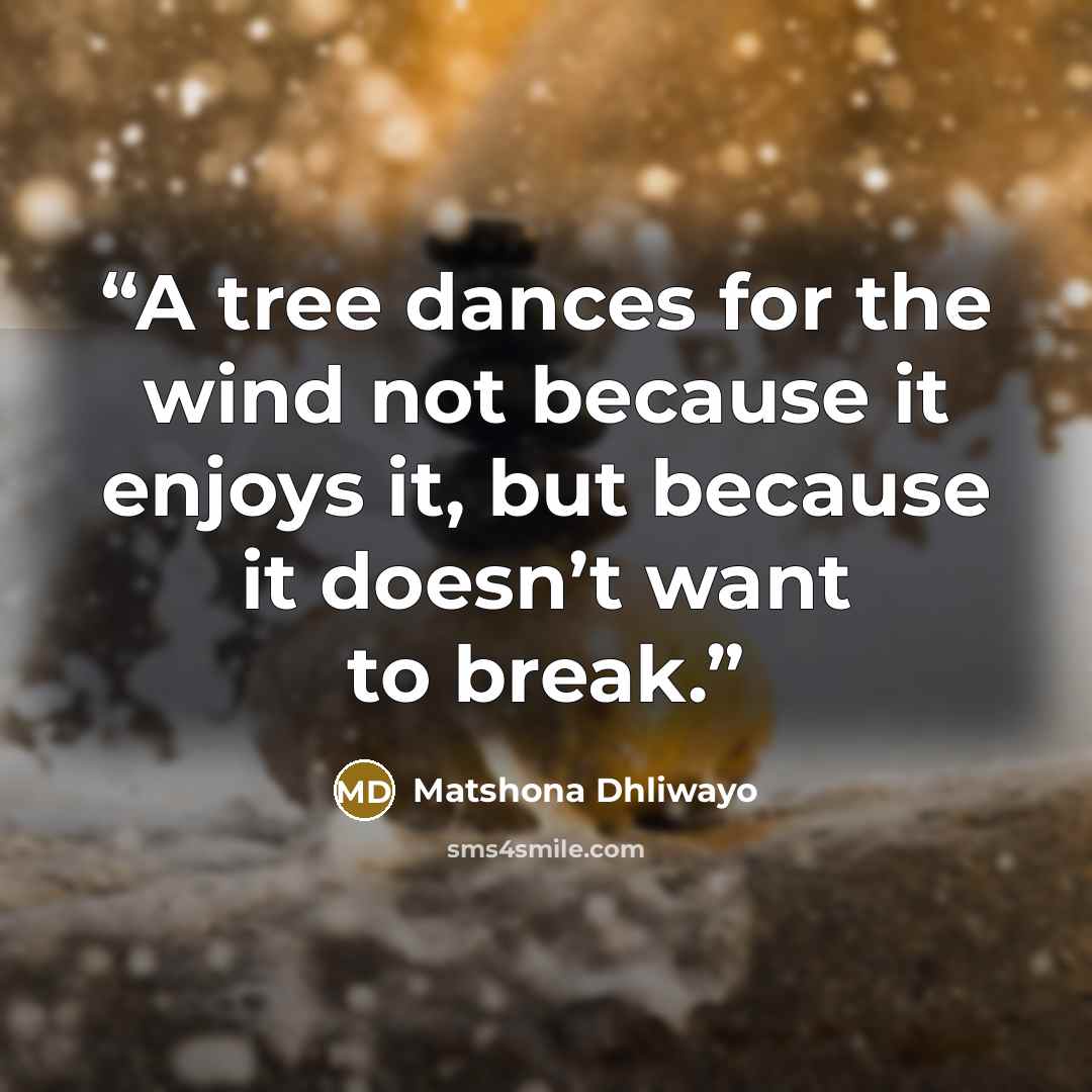 “A tree dances for the wind not because it enjoys it, but because it doesn’t want to break.” quote by Matshona Dhliwayo