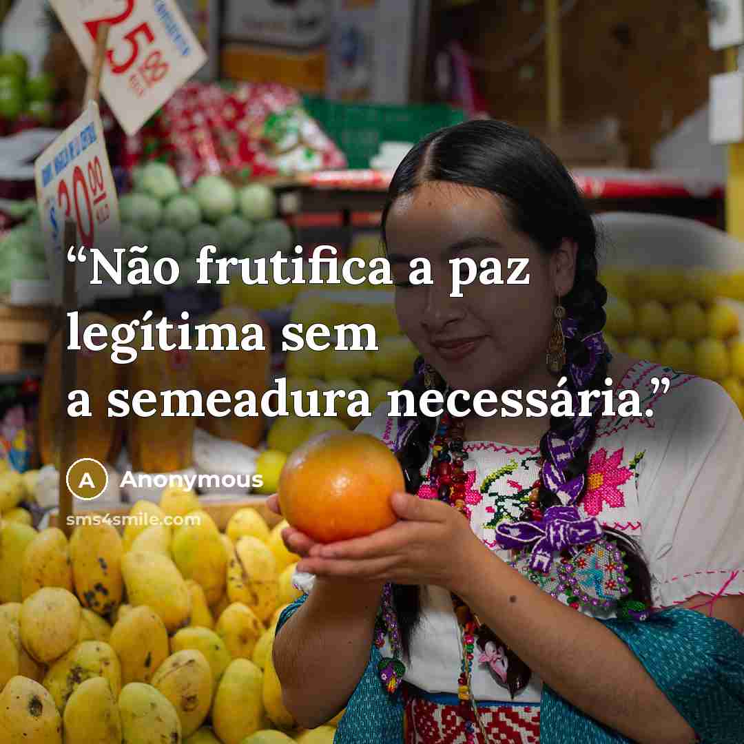 “Não frutifica a paz legítima sem a semeadura necessária.” quote by Anonymous