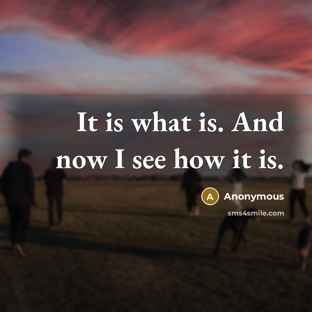 “It is what is. And now I see how it is.” quote by Anonymous