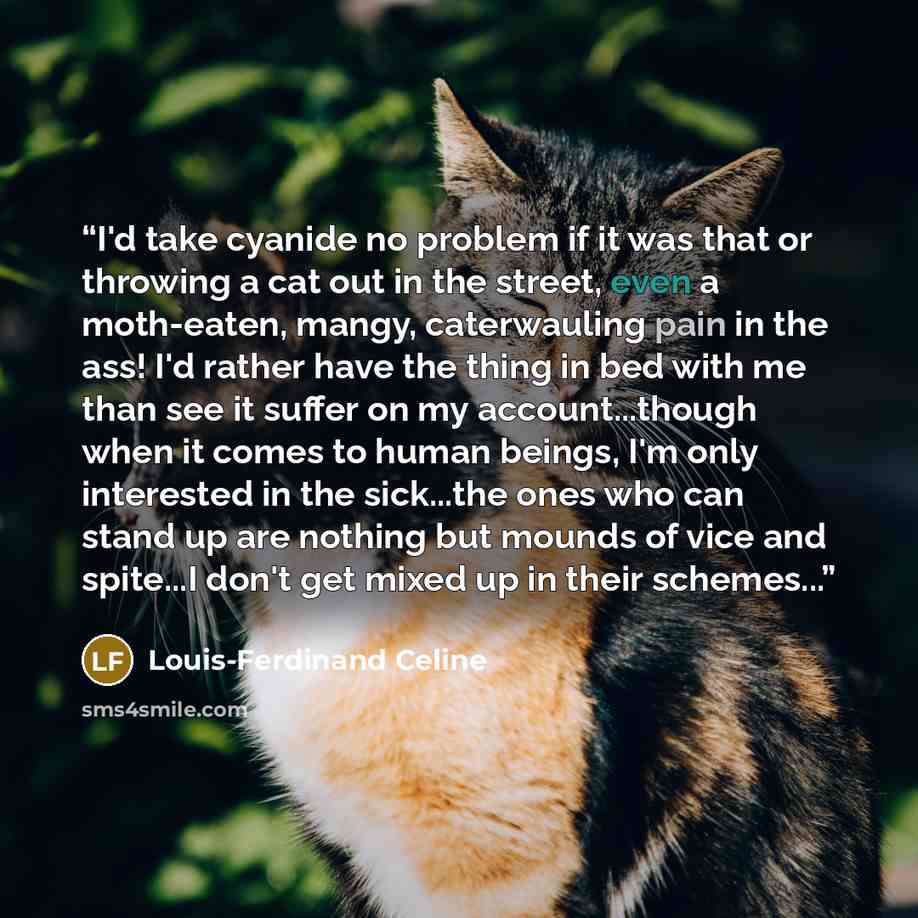 “I'd take cyanide no problem if it was that or throwing a cat out in the street, even a moth-eaten, mangy, caterwauling pain in the ass! I'd rather have the thing in bed with me than see it suffer on my account...though when it comes to human beings, I'm only interested in the sick...the ones who…” quote by Louis-Ferdinand Céline