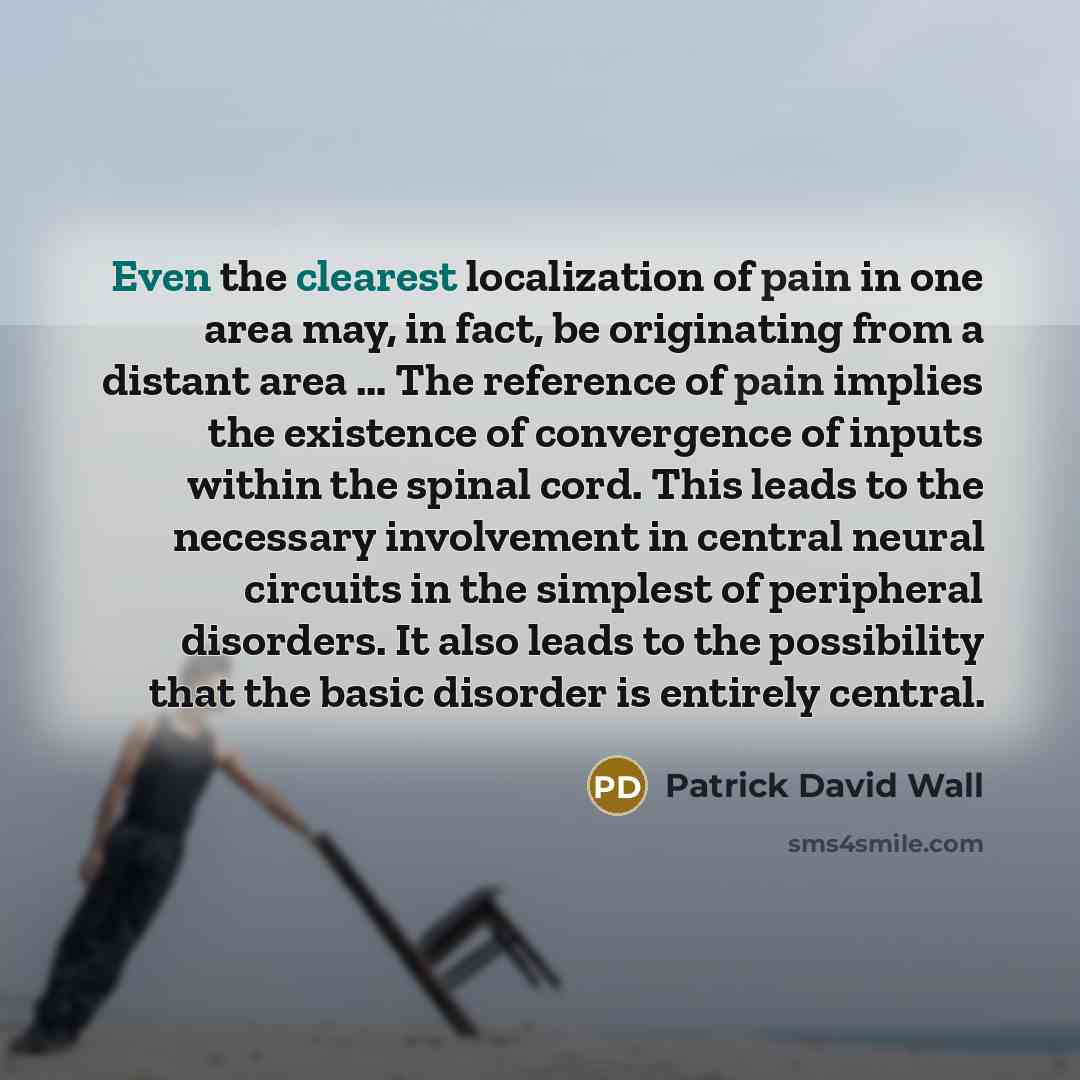 “Even the clearest localization of pain in one area may, in fact, be originating from a distant area … The reference of pain implies the existence of convergence of inputs within the spinal cord. This leads to the necessary involvement in central neural circuits in the simplest of peripheral…” quote by Patrick David Wall