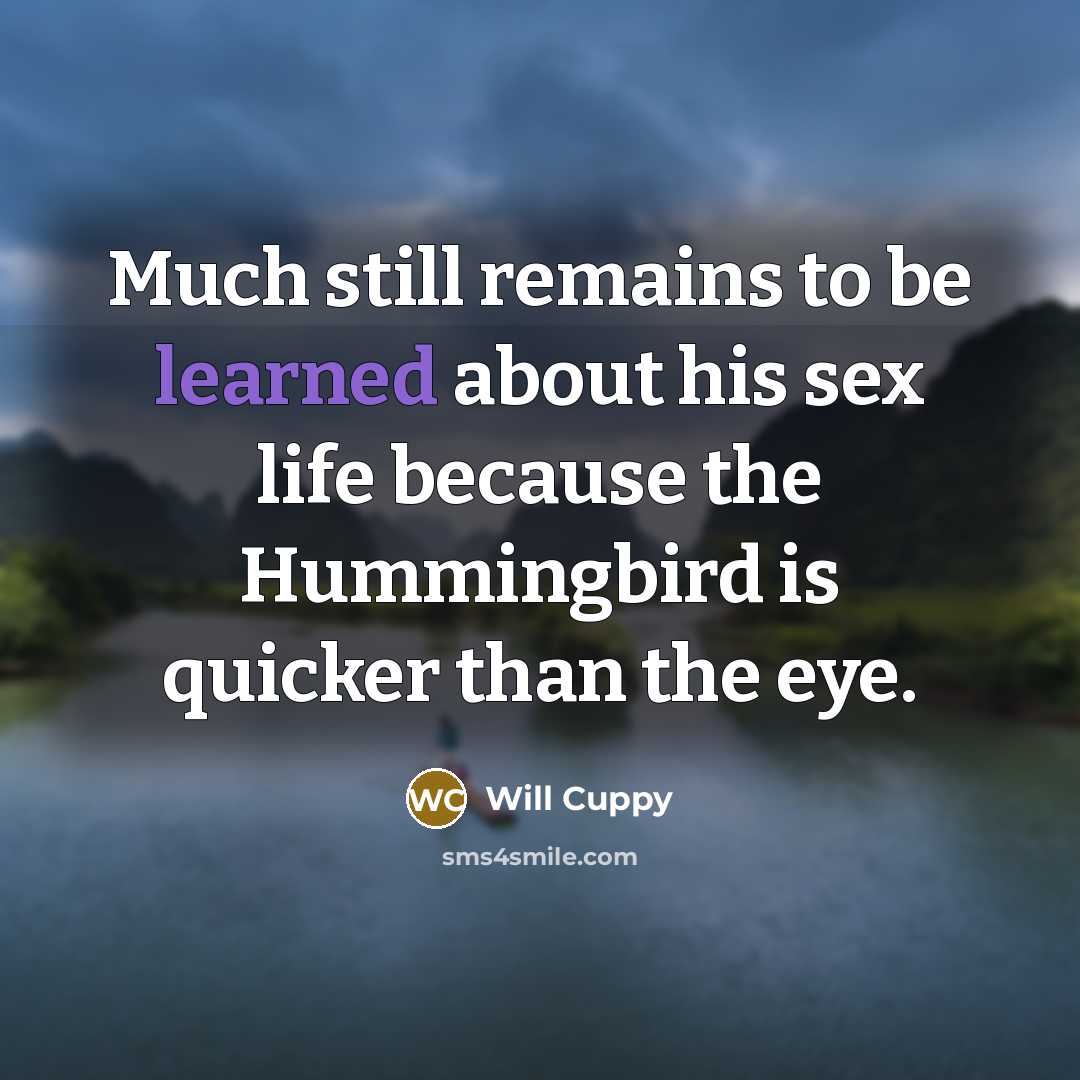 “Much still remains to be learned about his sex life because the Hummingbird is quicker than the eye.” quote by Will Cuppy