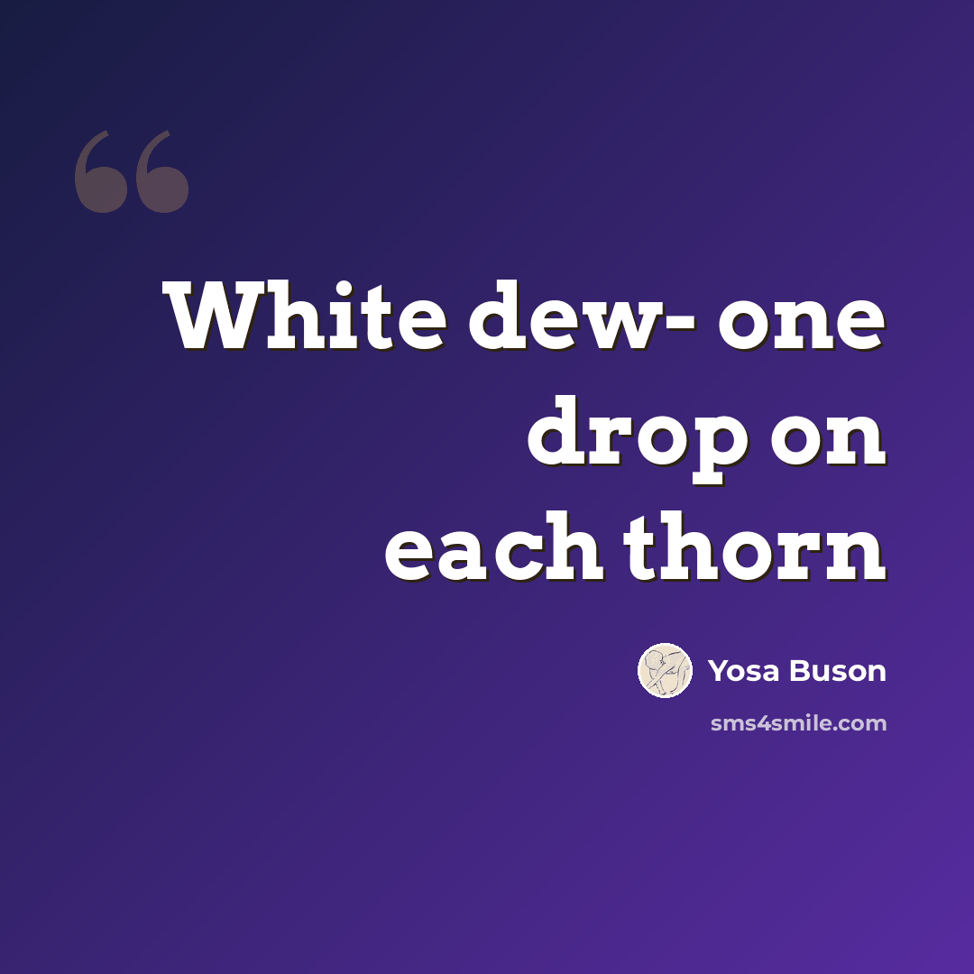 “White dew- one drop on each thorn” quote by Yosa Buson