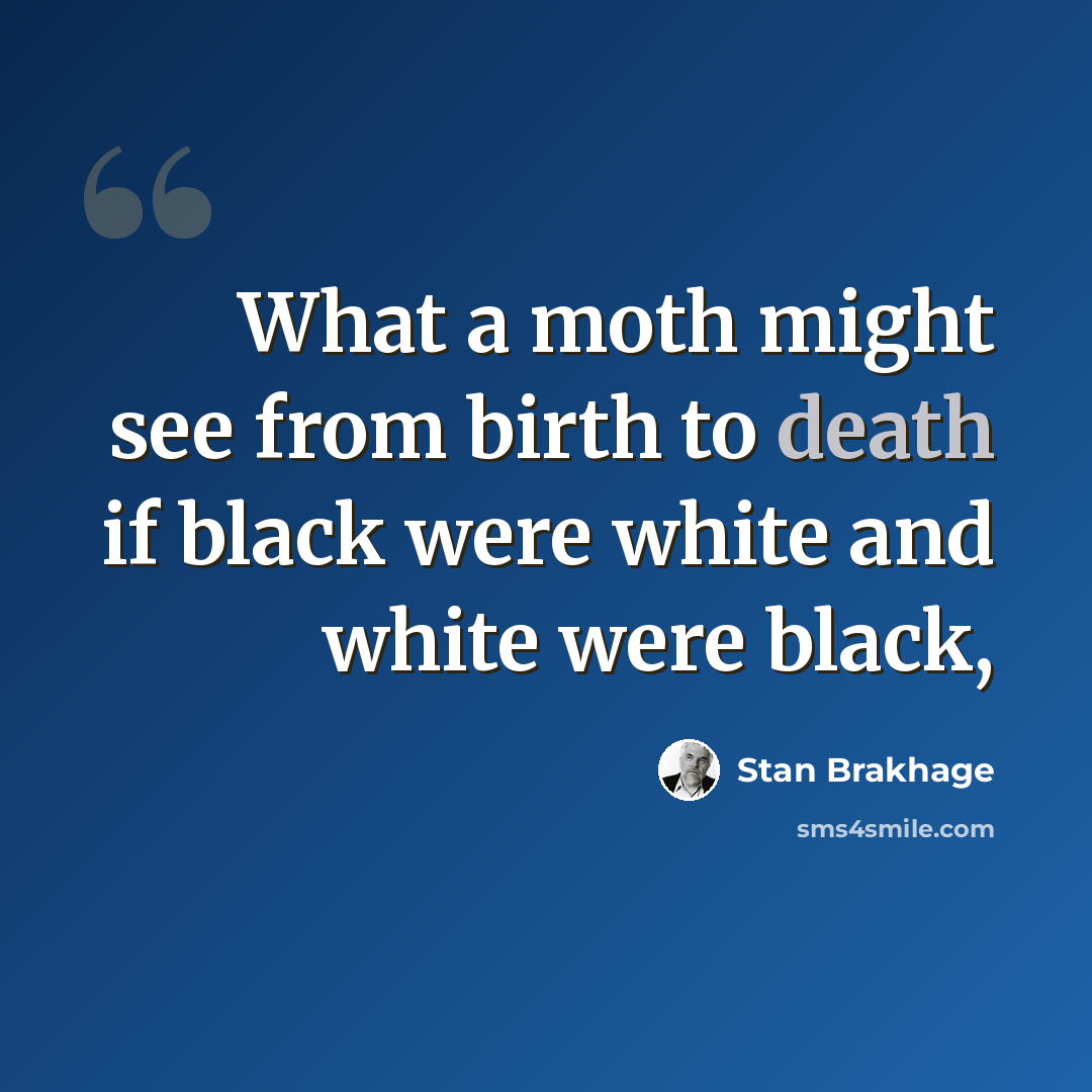 “What a moth might see from birth to death if black were white and white were black,” quote by Stan Brakhage