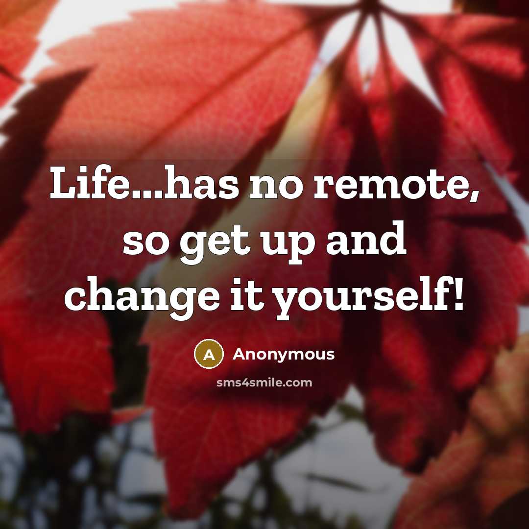 “Life...has no remote, so get up and change it yourself!” quote by Anonymous