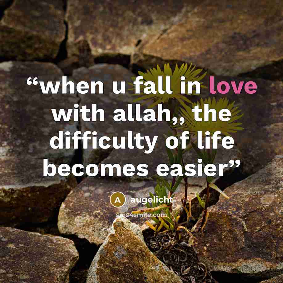 “when u fall in love with allah,, the difficulty of life becomes easier” quote by augelicht