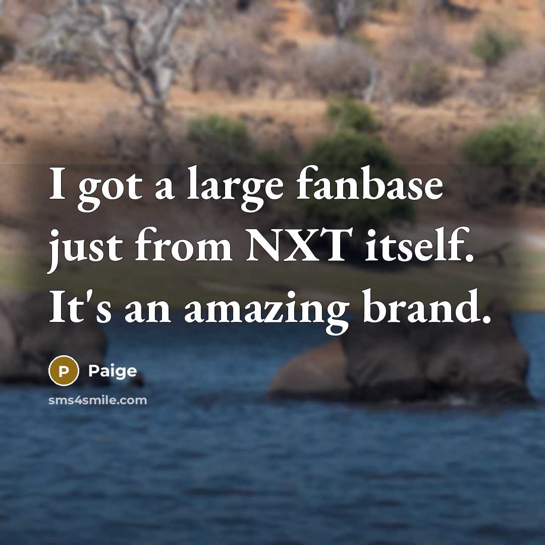 “I got a large fanbase just from NXT itself. It's an amazing brand.” quote by Paige