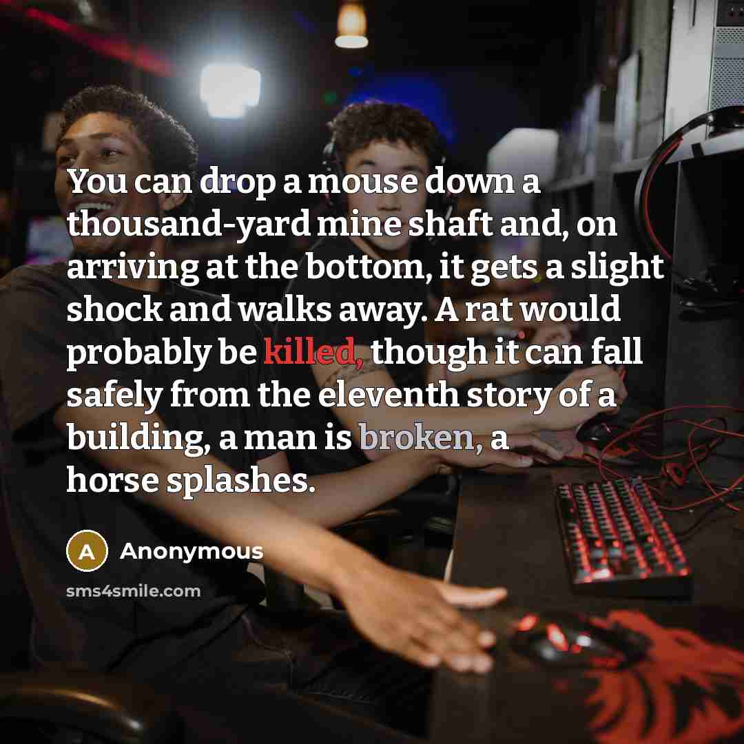 “You can drop a mouse down a thousand-yard mine shaft and, on arriving at the bottom, it gets a slight shock and walks away. A rat would probably be killed, though it can fall safely from the eleventh story of a building, a man is broken, a horse splashes.” quote by Anonymous