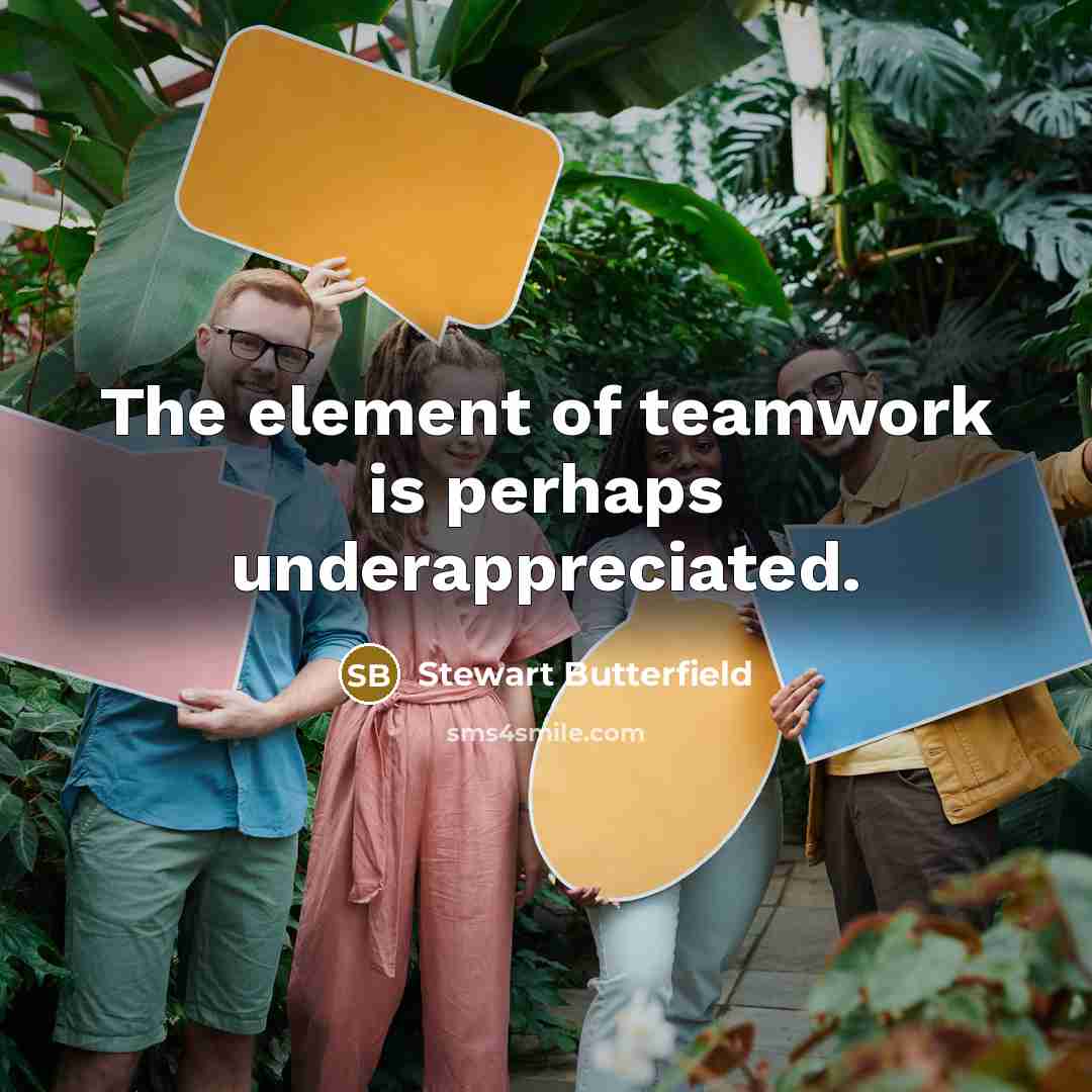 “The element of teamwork is perhaps underappreciated.” quote by Stewart Butterfield