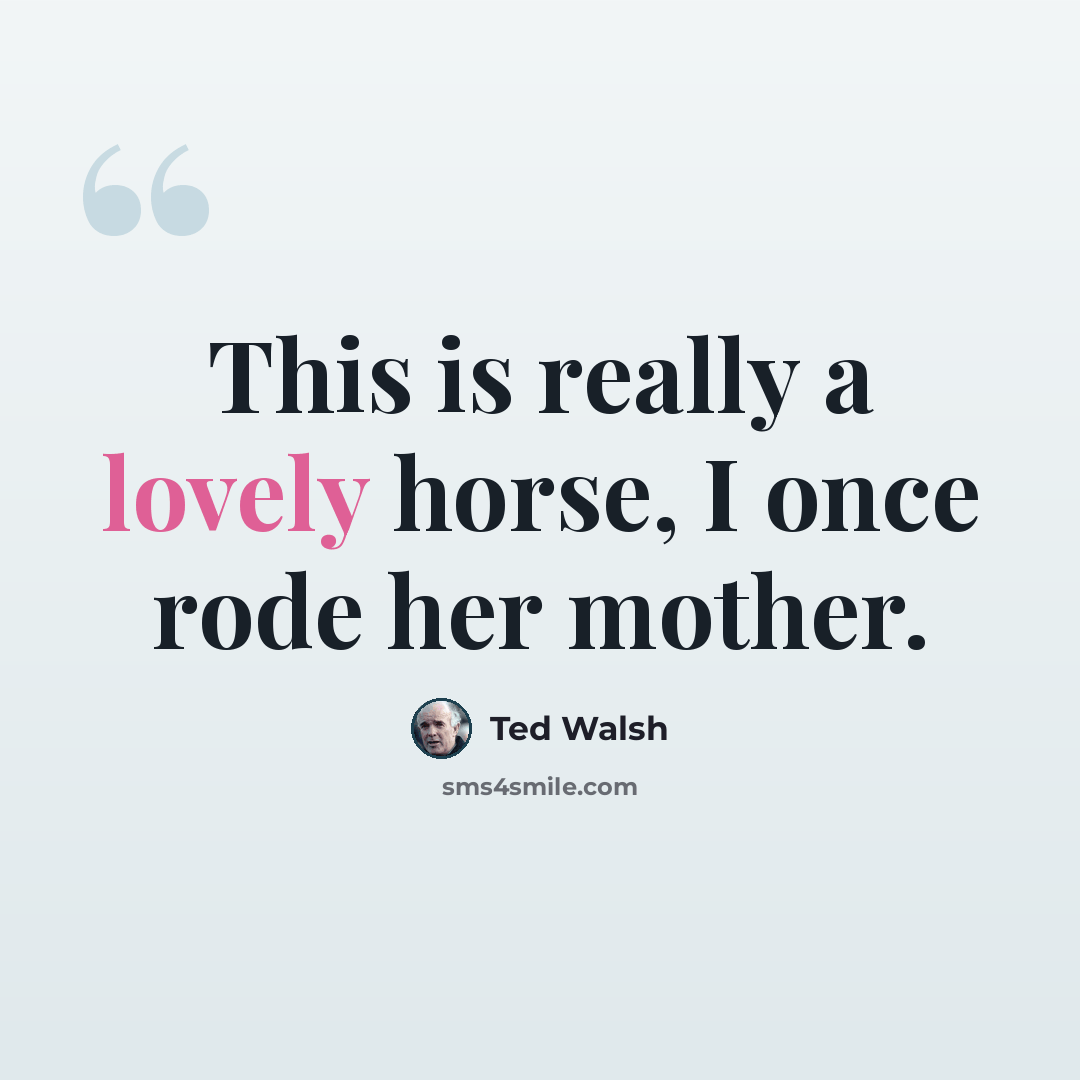 “This is really a lovely horse, I once rode her mother.” quote by Ted Walsh