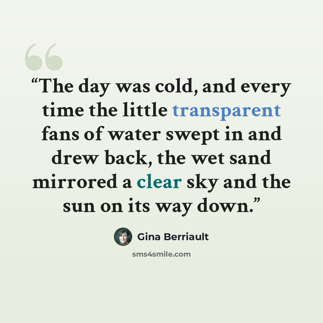 “The day was cold, and every time the little transparent fans of water swept in and drew back, the wet sand mirrored a clear sky and the sun on its way down.” quote by Gina Berriault