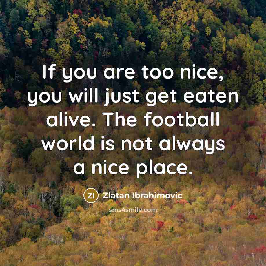 “If you are too nice, you will just get eaten alive. The football world is not always a nice place.” quote by Zlatan Ibrahimovic