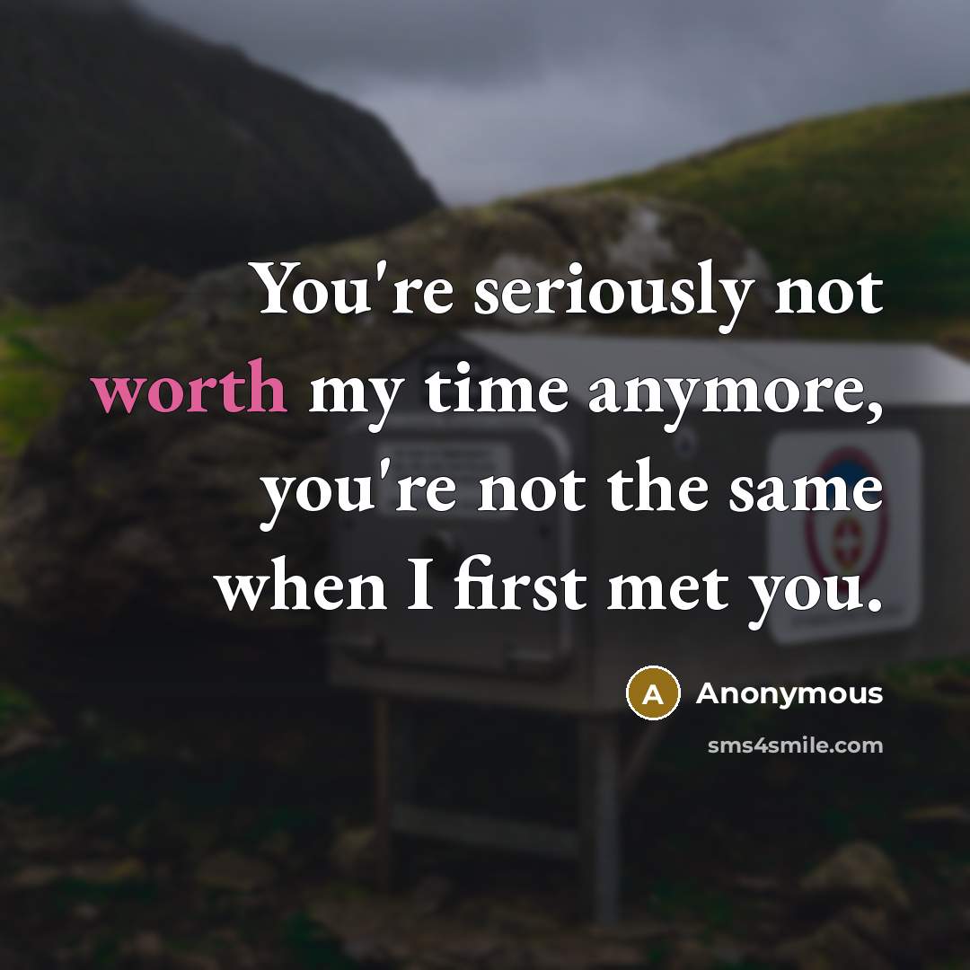 “You're seriously not worth my time anymore, you're not the same when I first met you.” quote by Anonymous