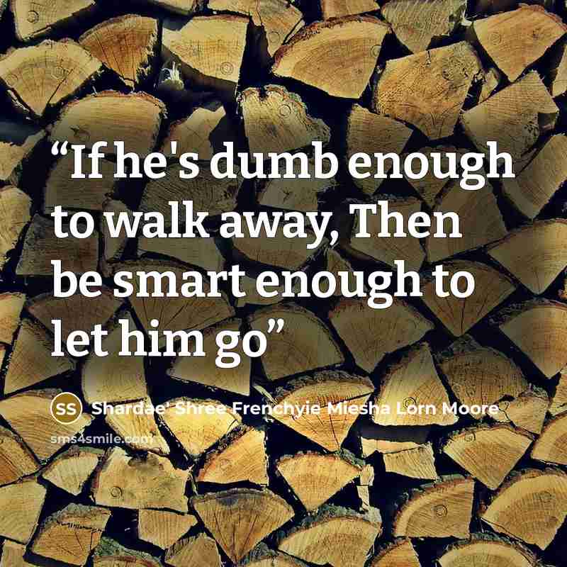 “If he's dumb enough to walk away, Then be smart enough to let him go” quote by Shardae' Shree Frenchyie Miesha Lorn Moore