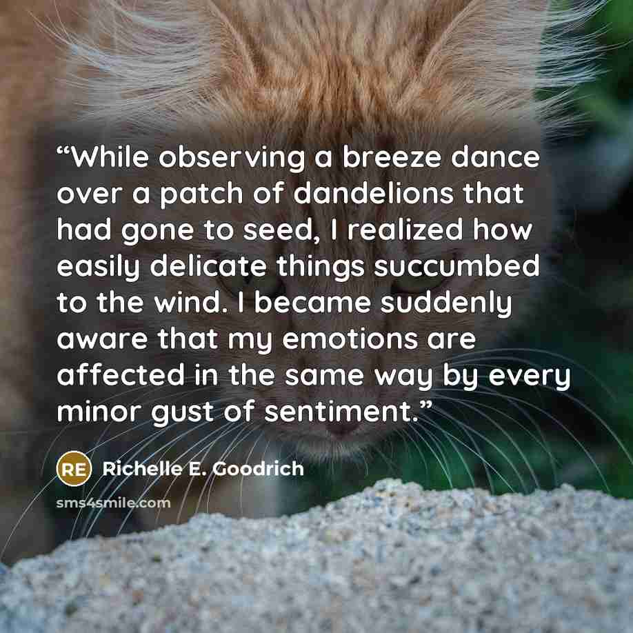 “While observing a breeze dance over a patch of dandelions that had gone to seed, I realized how easily delicate things succumbed to the wind. I became suddenly aware that my emotions are affected in the same way by every minor gust of sentiment.” quote by Richelle E. Goodrich