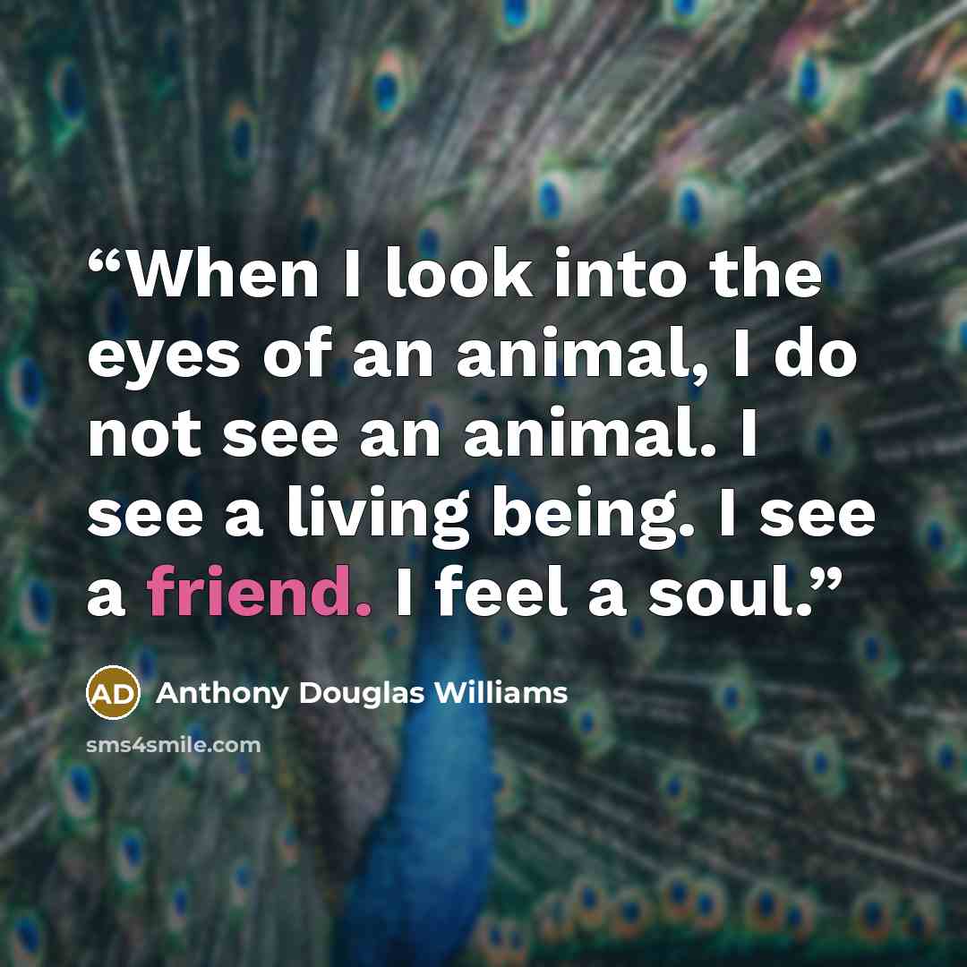 “When I look into the eyes of an animal, I do not see an animal. I see a living being. I see a friend. I feel a soul.” quote by Anthony Douglas Williams