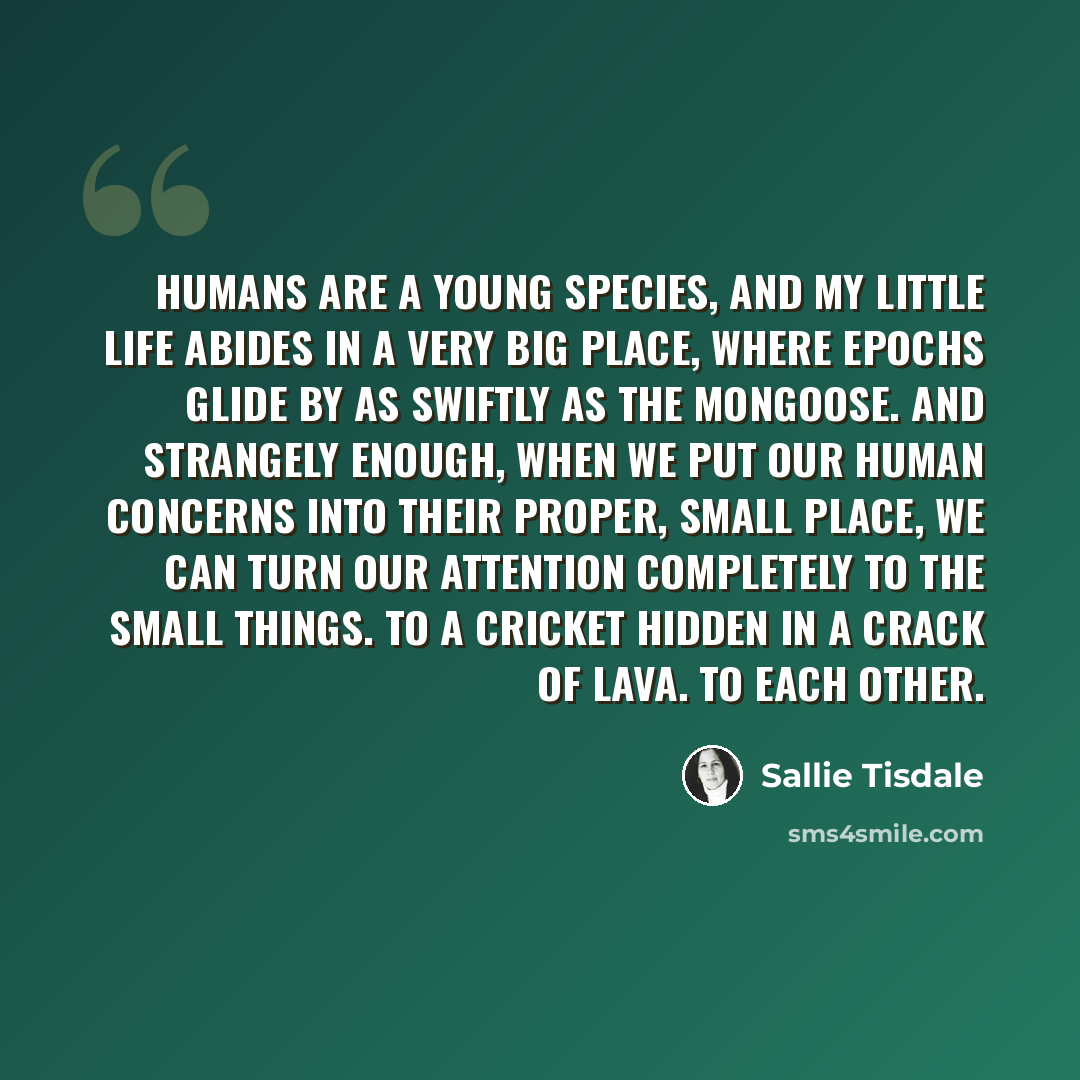 “Humans are a young species, and my little life abides in a very big place, where epochs glide by as swiftly as the mongoose. And strangely enough, when we put our human concerns into their proper, small place, we can turn our attention completely to the small things. To a cricket hidden in a crack…” quote by Sallie Tisdale