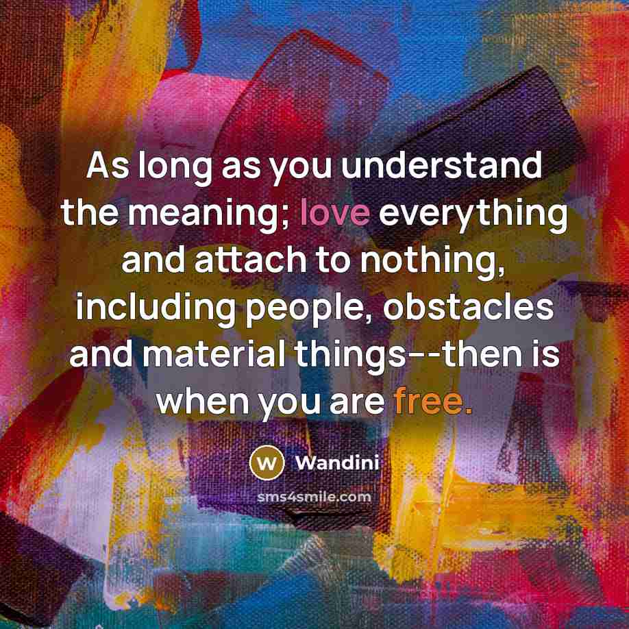 “As long as you understand the meaning; love everything and attach to nothing, including people, obstacles and material things---then is when you are free.” quote by Wandini