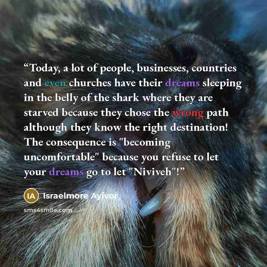 “Today, a lot of people, businesses, countries and even churches have their dreams sleeping in the belly of the shark where they are starved because they chose the wrong path although they know the right destination! The consequence is "becoming uncomfortable" because you refuse to let your dreams…” quote by Israelmore Ayivor