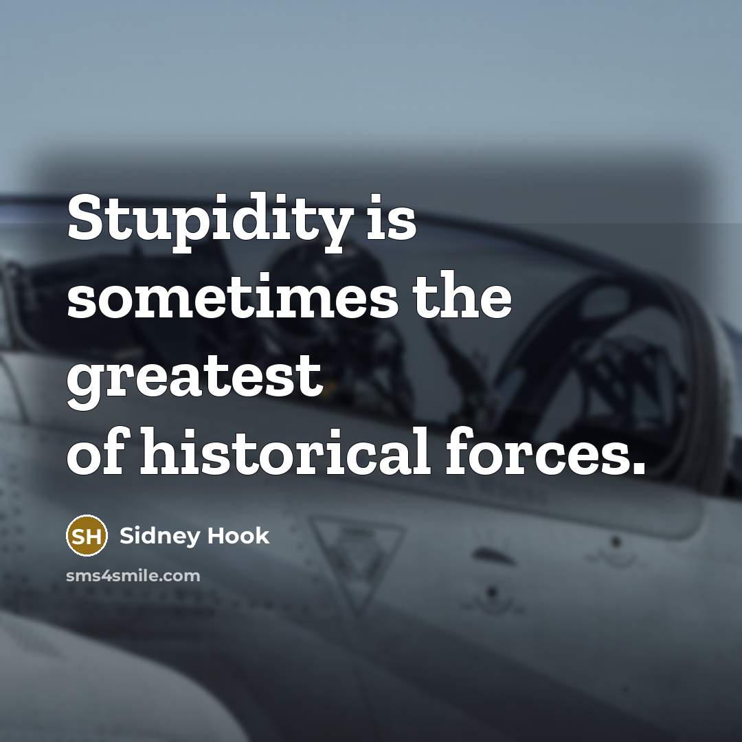 “Stupidity is sometimes the greatest of historical forces.” quote by Sidney Hook