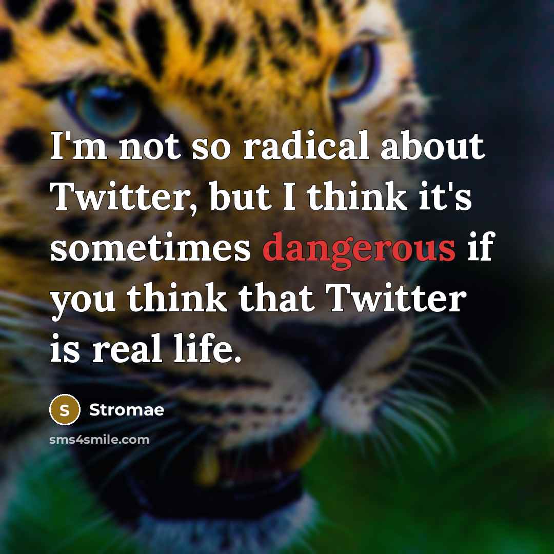 “I'm not so radical about Twitter, but I think it's sometimes dangerous if you think that Twitter is real life.” quote by Stromae