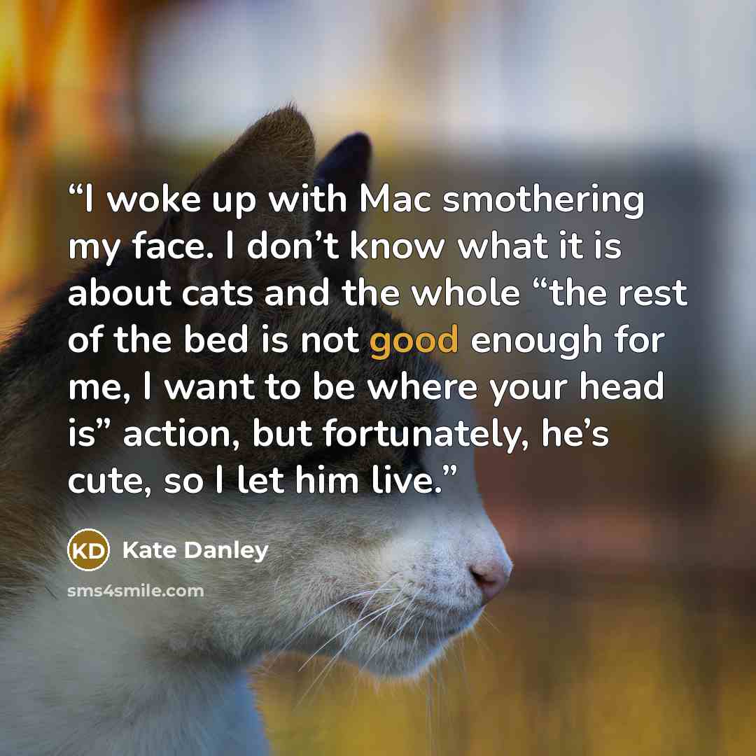 “I woke up with Mac smothering my face. I don’t know what it is about cats and the whole “the rest of the bed is not good enough for me, I want to be where your head is” action, but fortunately, he’s cute, so I let him live.” quote by Kate Danley