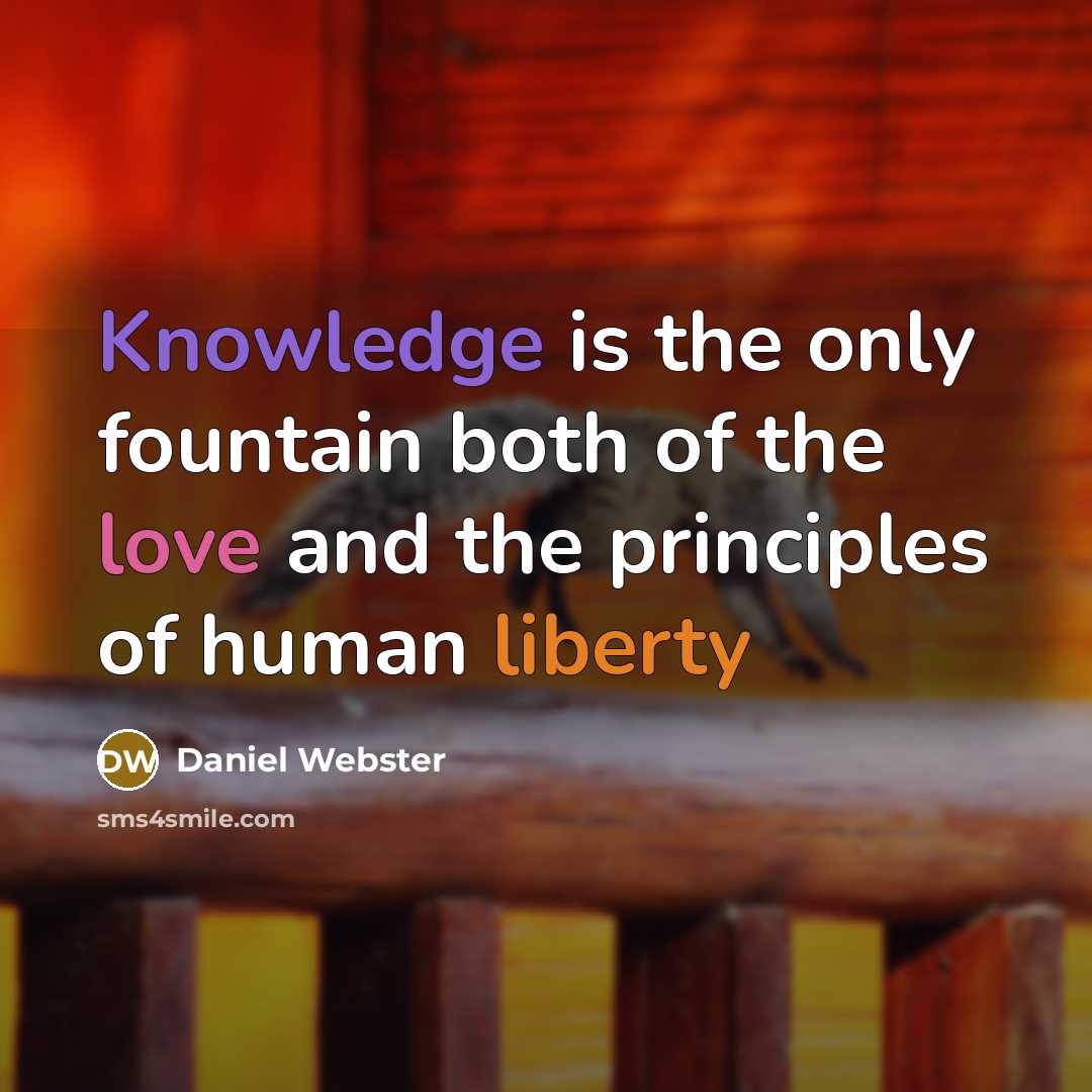 “Knowledge is the only fountain both of the love and the principles of human liberty” quote by Daniel Webster