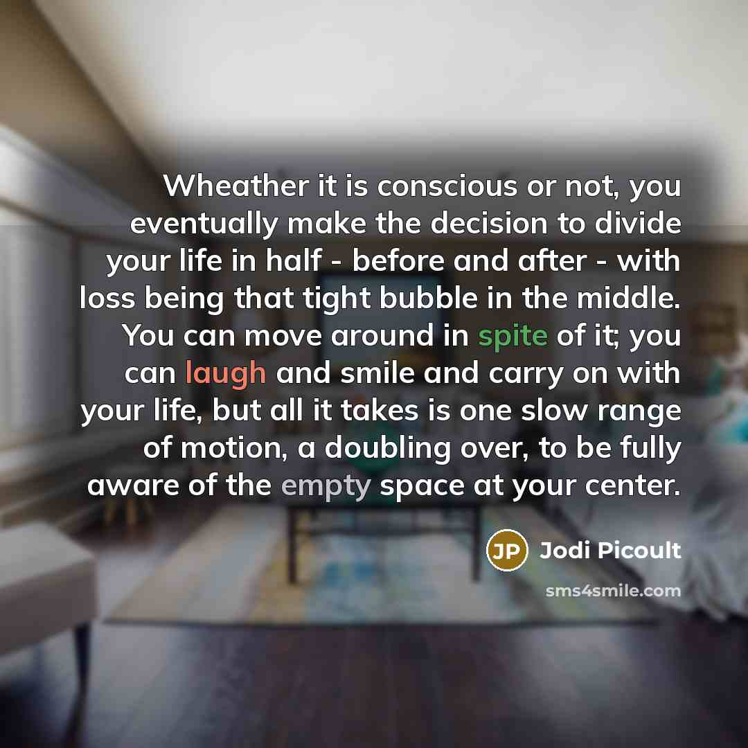 “Wheather it is conscious or not, you eventually make the decision to divide your life in half - before and after - with loss being that tight bubble in the middle. You can move around in spite of it; you can laugh and smile and carry on with your life, but all it takes is one slow range of motion…” quote by Jodi Picoult