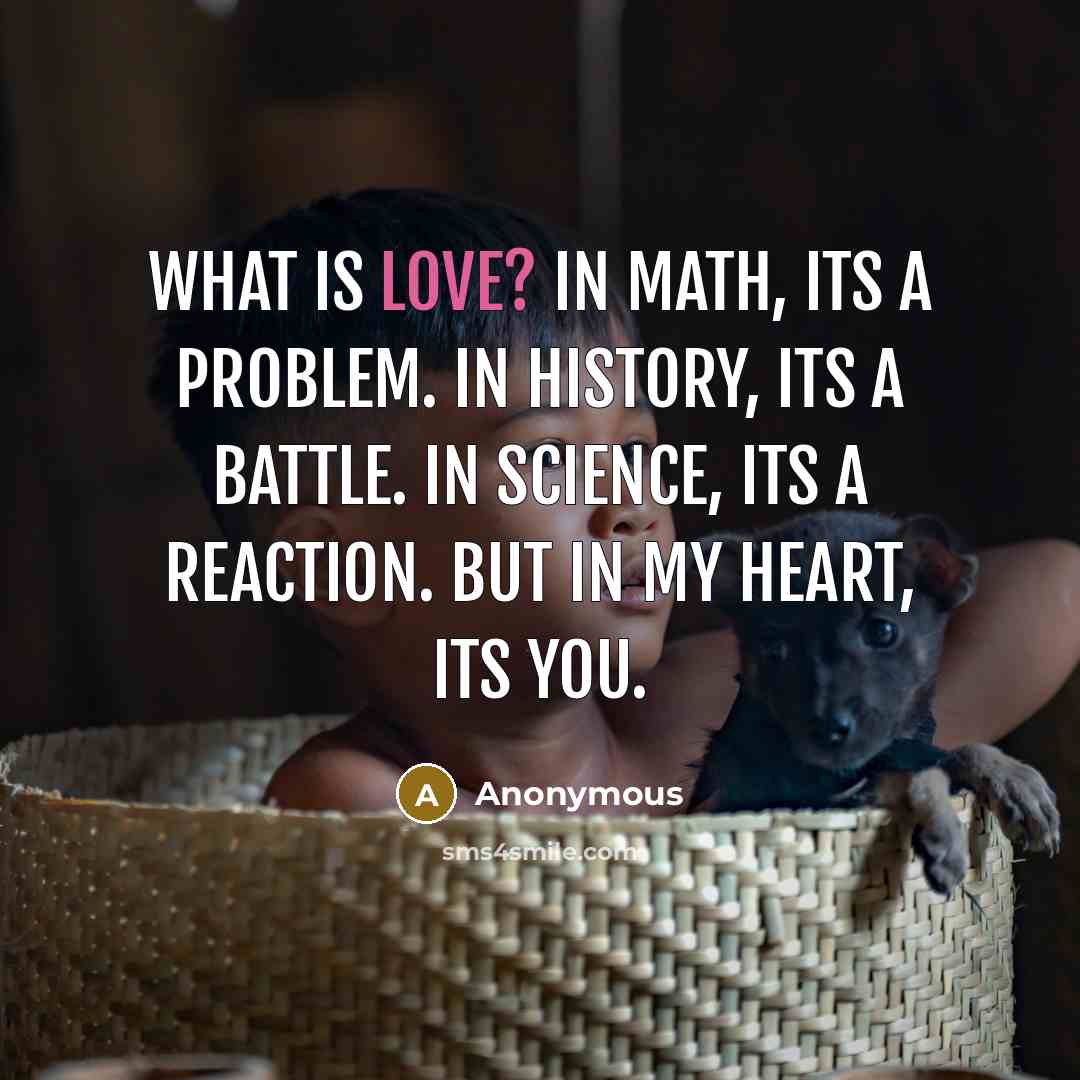 “What is love? In math, its a problem. In history, its a battle. In science, Its a reaction. But in my heart, its you.” quote by Anonymous