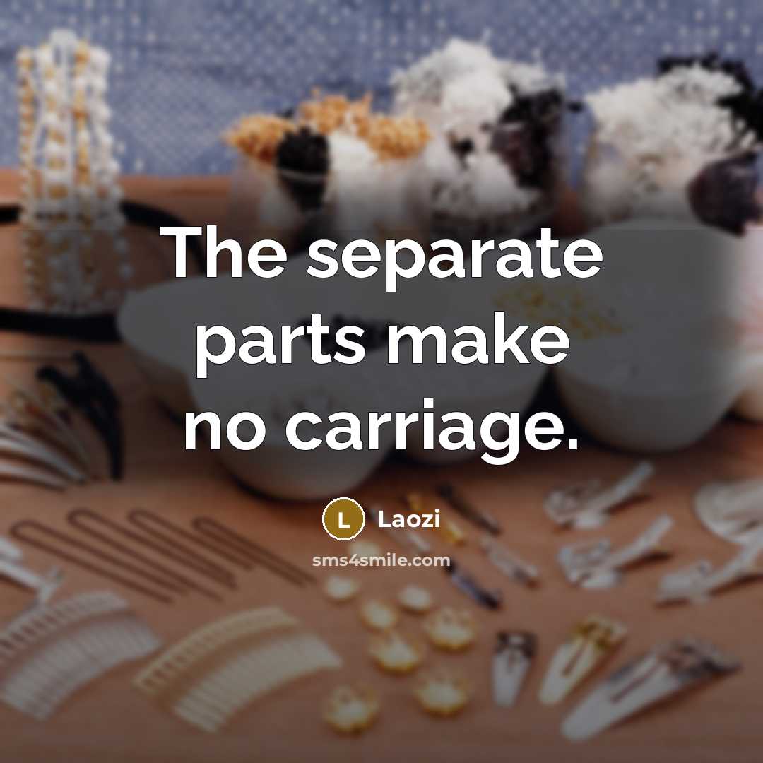 “The separate parts make no carriage.” quote by Laozi